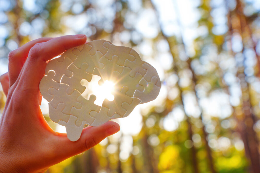 Breinvormige puzzel in een hand, als symbool voor mentale gezondheid en inzicht.