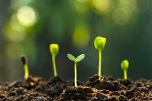Drie positieve dingen